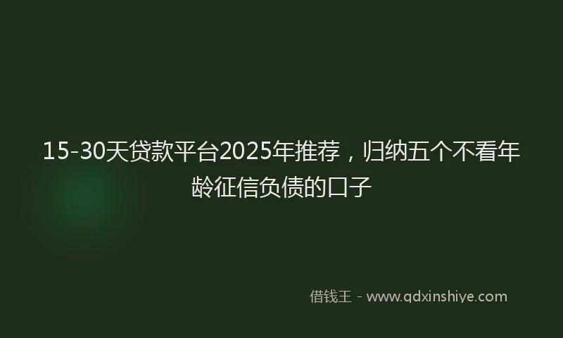 15-30天贷款平台2025年推荐，归纳五个不看年龄征信负债的口子