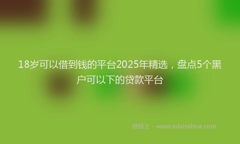 18岁可以借到钱的平台2025年精选，盘点5个黑户可以下的贷款平台