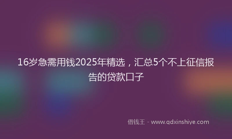 16岁急需用钱2025年精选，汇总5个不上征信报告的贷款口子