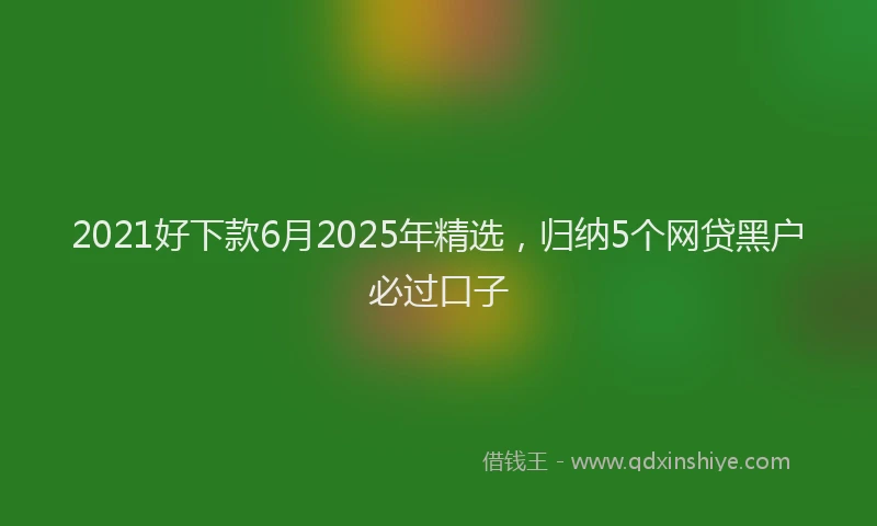 2021好下款6月2025年精选，归纳5个网贷黑户必过口子