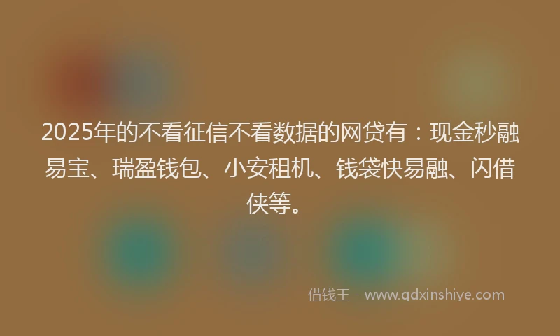 2025年的不看征信不看数据的网贷有：现金秒融易宝、瑞盈钱包、小安租机、钱袋快易融、闪借侠等。