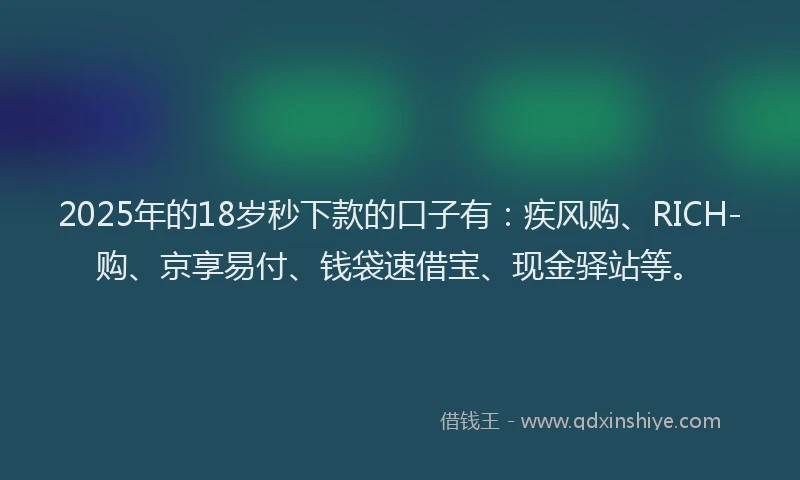 2025年的18岁秒下款的口子有：疾风购、RICH-购、京享易付、钱袋速借宝、现金驿站等。