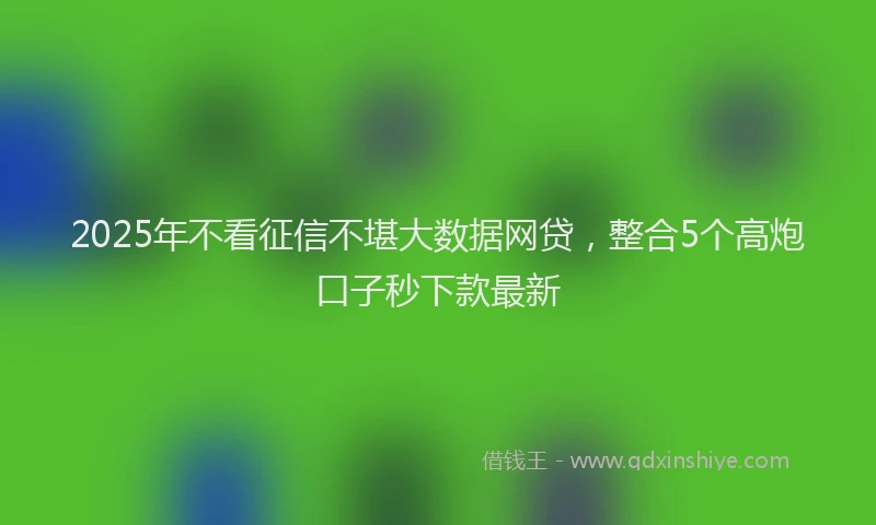 2025年不看征信不堪大数据网贷，整合5个高炮口子秒下款最新