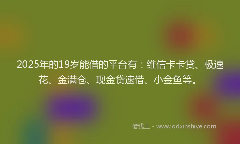 2025年的19岁能借的平台有：维信卡卡贷、极速花、金满仓、现金贷速借、小金鱼等。