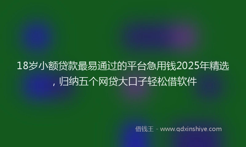 18岁小额贷款最易通过的平台急用钱2025年精选，归纳五个网贷大口子轻松借软件
