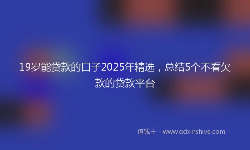 19岁能贷款的口子2025年精选，总结5个不看欠款的贷款平台