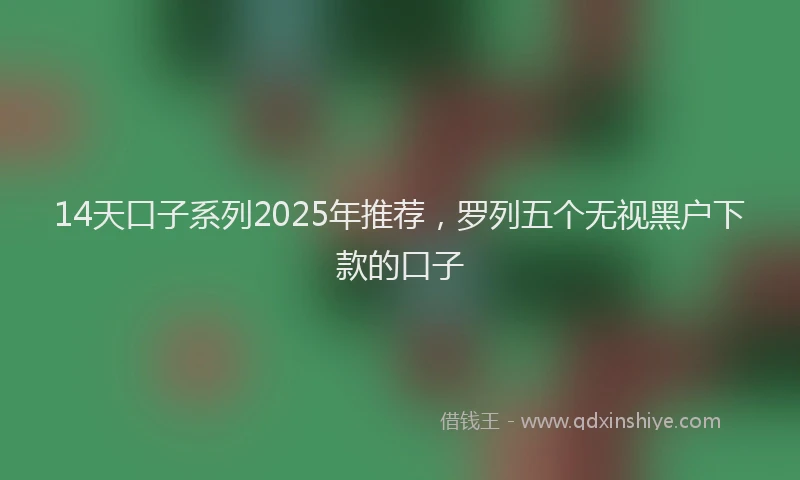 14天口子系列2025年推荐，罗列五个无视黑户下款的口子