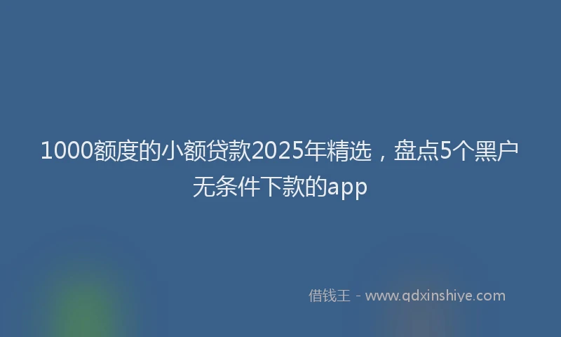 1000额度的小额贷款2025年精选，盘点5个黑户无条件下款的app
