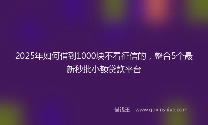 2025年如何借到1000块不看征信的，整合5个最新秒批小额贷款平台