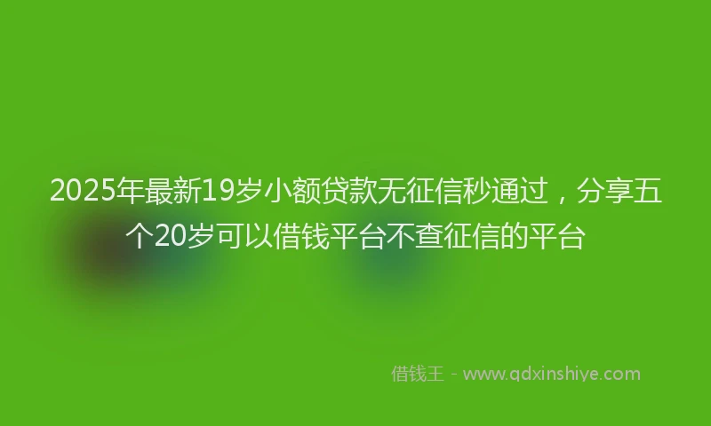 2025年最新19岁小额贷款无征信秒通过，分享五个20岁可以借钱平台不查征信的平台