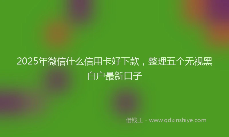 2025年微信什么信用卡好下款，整理五个无视黑白户最新口子