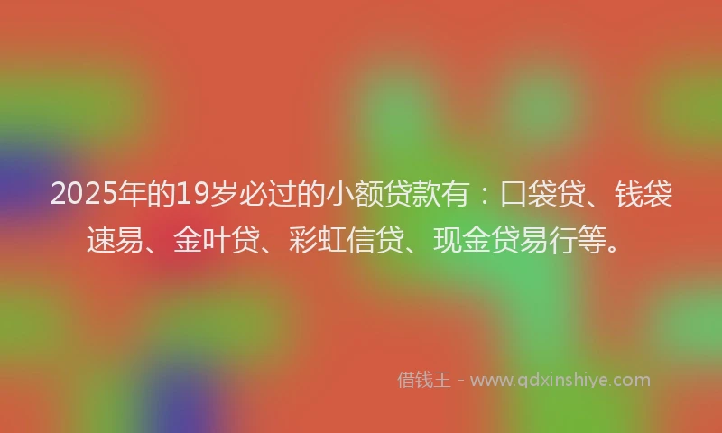 2025年的19岁必过的小额贷款有：口袋贷、钱袋速易、金叶贷、彩虹信贷、现金贷易行等。
