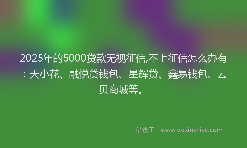 2025年的5000贷款无视征信,不上征信怎么办有：天小花、融悦贷钱包、星辉贷、鑫易钱包、云贝商城等。
