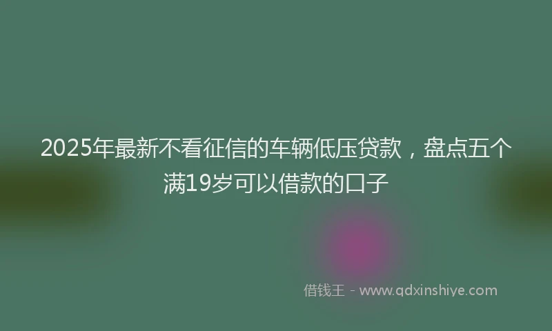 2025年最新不看征信的车辆低压贷款，盘点五个满19岁可以借款的口子