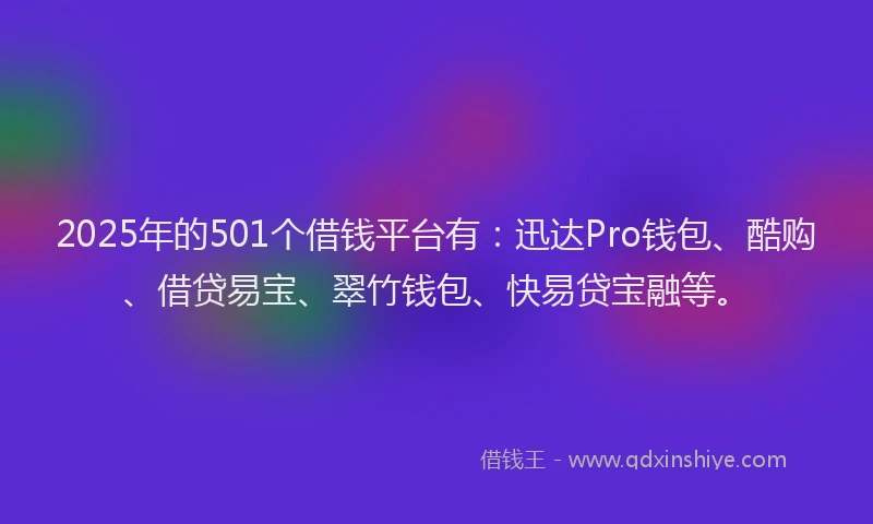 2025年的501个借钱平台有：迅达Pro钱包、酷购、借贷易宝、翠竹钱包、快易贷宝融等。