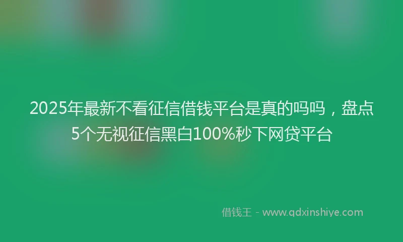 2025年最新不看征信借钱平台是真的吗吗，盘点5个无视征信黑白100%秒下网贷平台