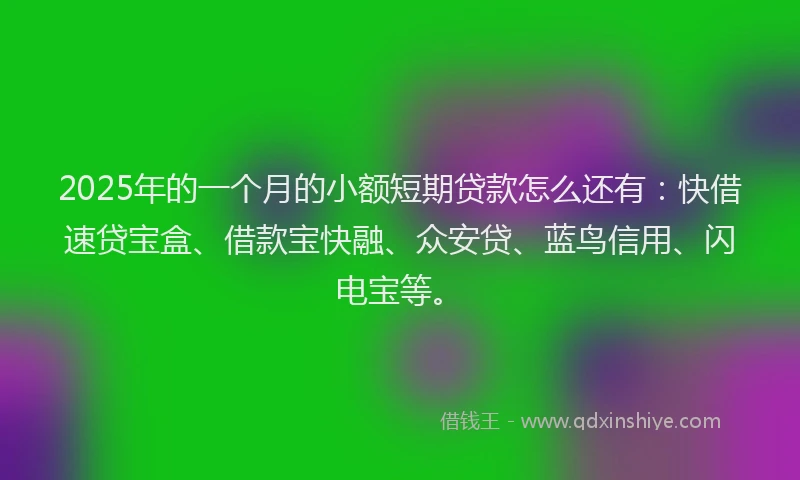 2025年的一个月的小额短期贷款怎么还有：快借速贷宝盒、借款宝快融、众安贷、蓝鸟信用、闪电宝等。