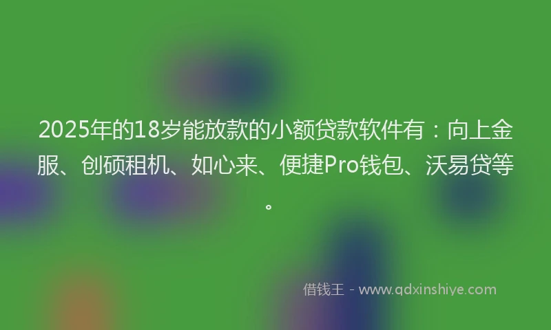 2025年的18岁能放款的小额贷款软件有：向上金服、创硕租机、如心来、便捷Pro钱包、沃易贷等。