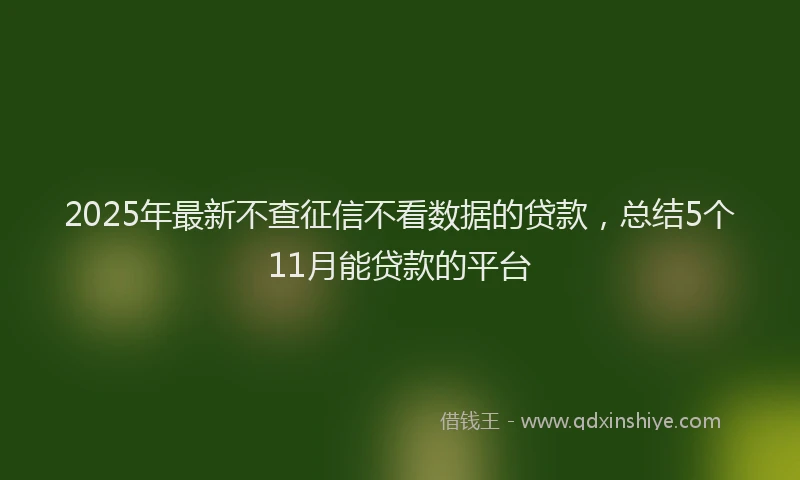 2025年最新不查征信不看数据的贷款，总结5个11月能贷款的平台