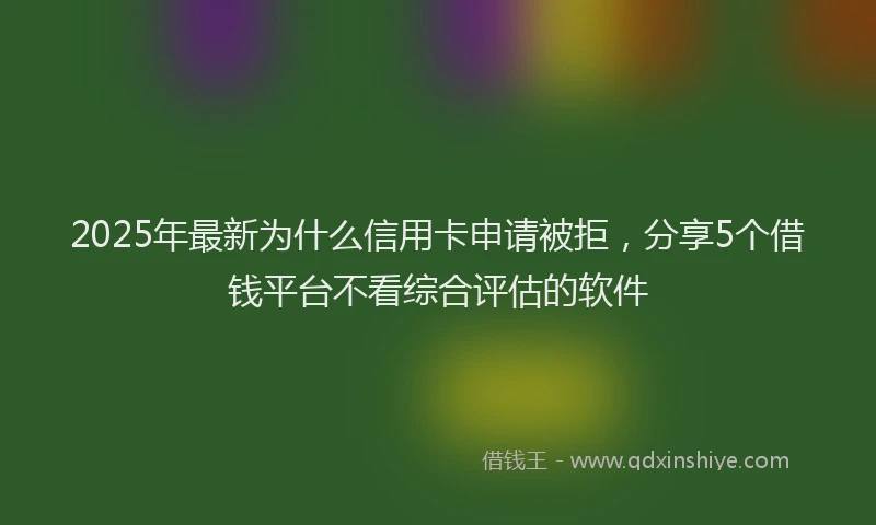 2025年最新为什么信用卡申请被拒，分享5个借钱平台不看综合评估的软件