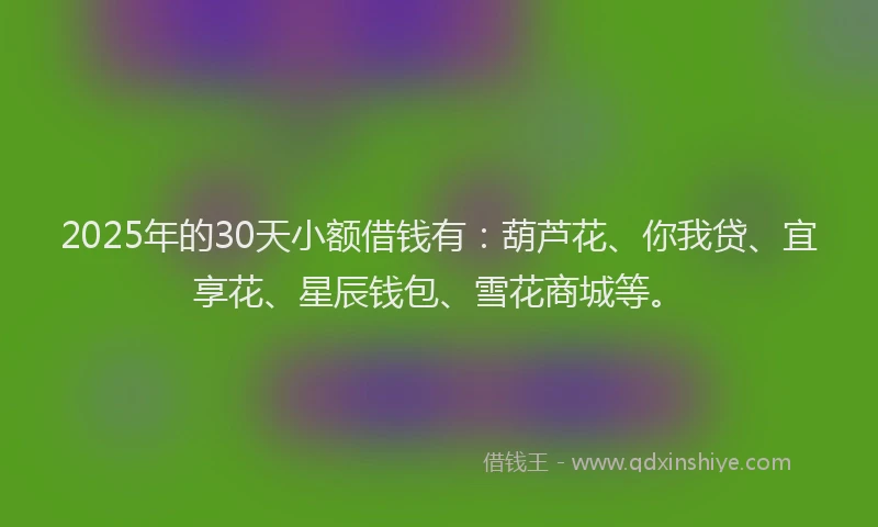 2025年的30天小额借钱有：葫芦花、你我贷、宜享花、星辰钱包、雪花商城等。