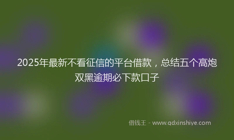 2025年最新不看征信的平台借款，总结五个高炮双黑逾期必下款口子