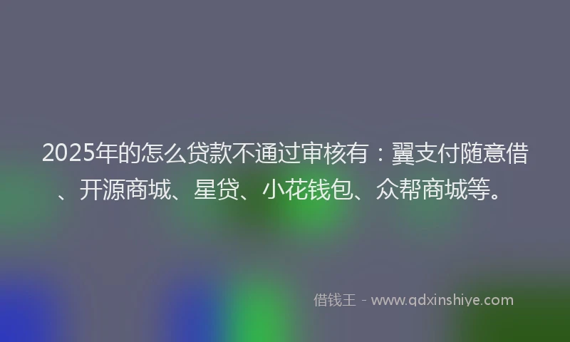 2025年的怎么贷款不通过审核有：翼支付随意借、开源商城、星贷、小花钱包、众帮商城等。