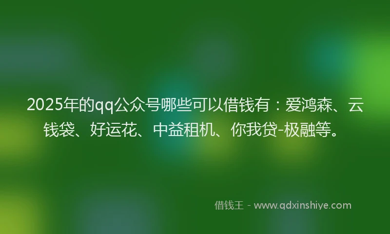 2025年的qq公众号哪些可以借钱有：爱鸿森、云钱袋、好运花、中益租机、你我贷-极融等。