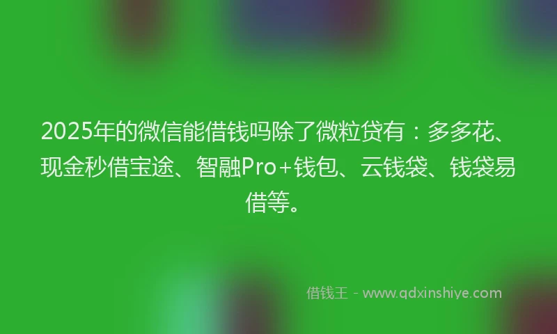 2025年的微信能借钱吗除了微粒贷有：多多花、现金秒借宝途、智融Pro+钱包、云钱袋、钱袋易借等。