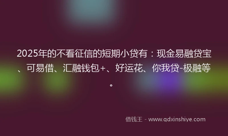 2025年的不看征信的短期小贷有：现金易融贷宝、可易借、汇融钱包+、好运花、你我贷-极融等。