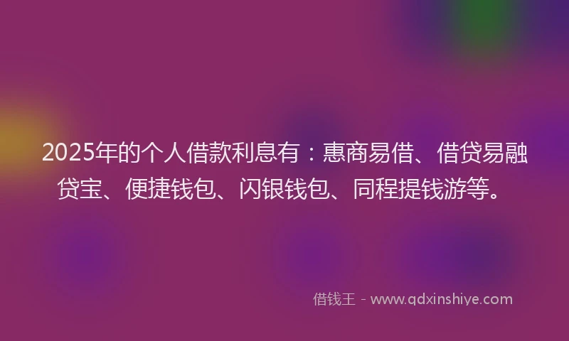 2025年的个人借款利息有：惠商易借、借贷易融贷宝、便捷钱包、闪银钱包、同程提钱游等。
