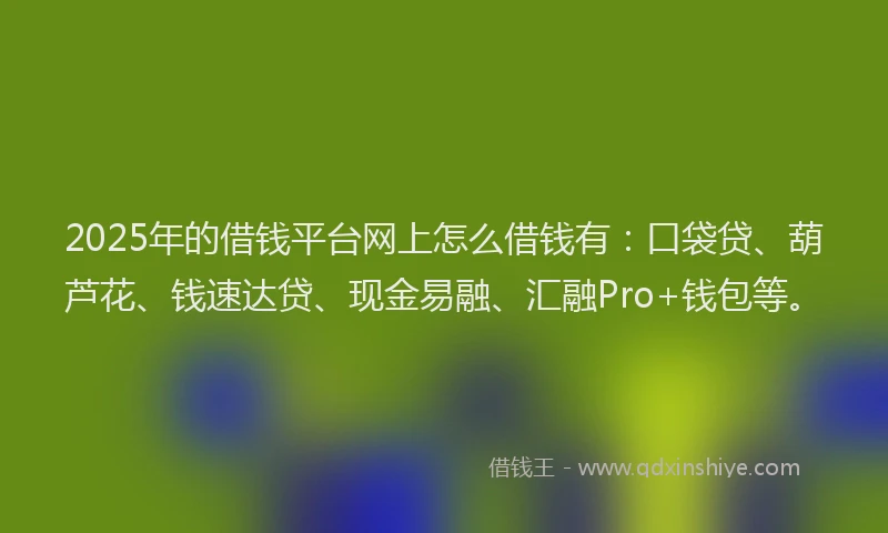 2025年的借钱平台网上怎么借钱有：口袋贷、葫芦花、钱速达贷、现金易融、汇融Pro+钱包等。