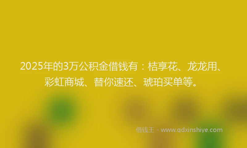 2025年的3万公积金借钱有：桔享花、龙龙用、彩虹商城、替你速还、琥珀买单等。