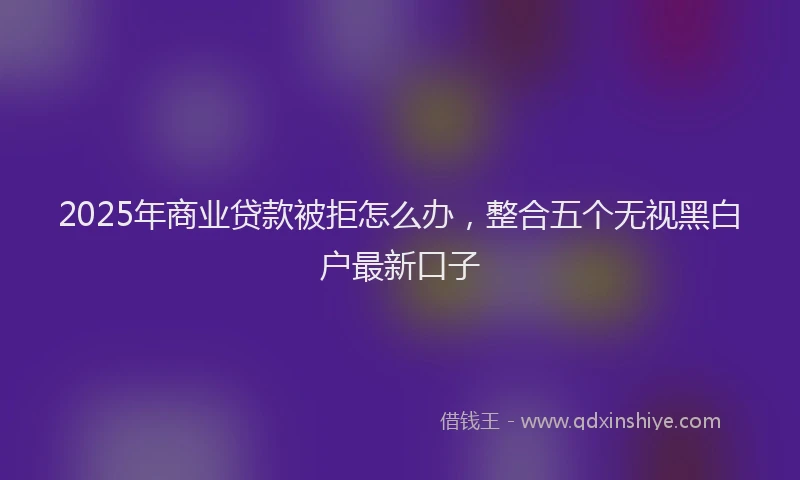 2025年商业贷款被拒怎么办，整合五个无视黑白户最新口子