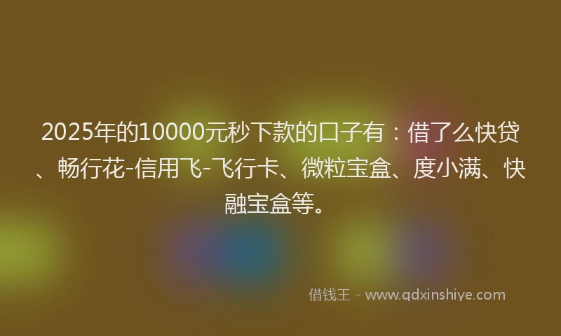 2025年的10000元秒下款的口子有：借了么快贷、畅行花-信用飞-飞行卡、微粒宝盒、度小满、快融宝盒等。