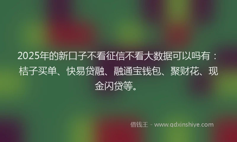 2025年的新口子不看征信不看大数据可以吗有：桔子买单、快易贷融、融通宝钱包、聚财花、现金闪贷等。