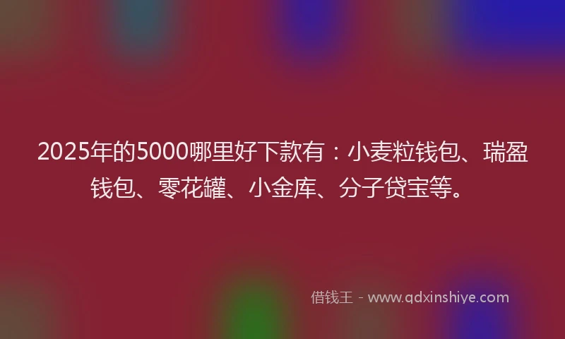 2025年的5000哪里好下款有：小麦粒钱包、瑞盈钱包、零花罐、小金库、分子贷宝等。