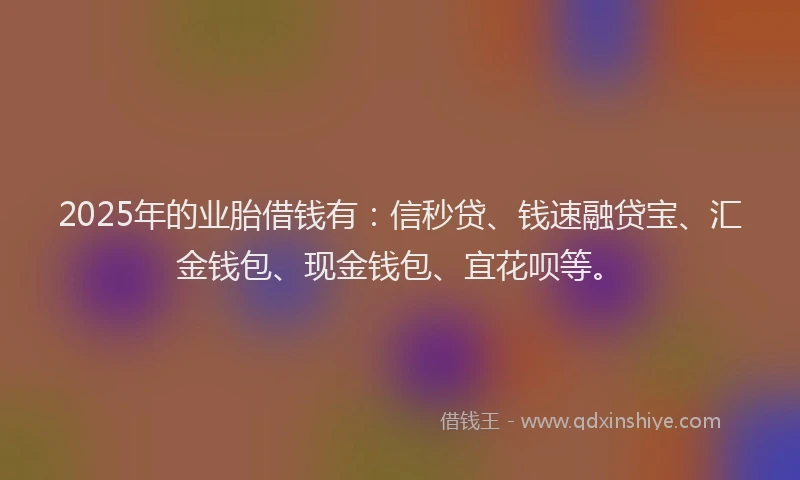 2025年的业胎借钱有：信秒贷、钱速融贷宝、汇金钱包、现金钱包、宜花呗等。