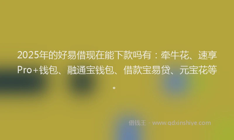 2025年的好易借现在能下款吗有：牵牛花、速享Pro+钱包、融通宝钱包、借款宝易贷、元宝花等。