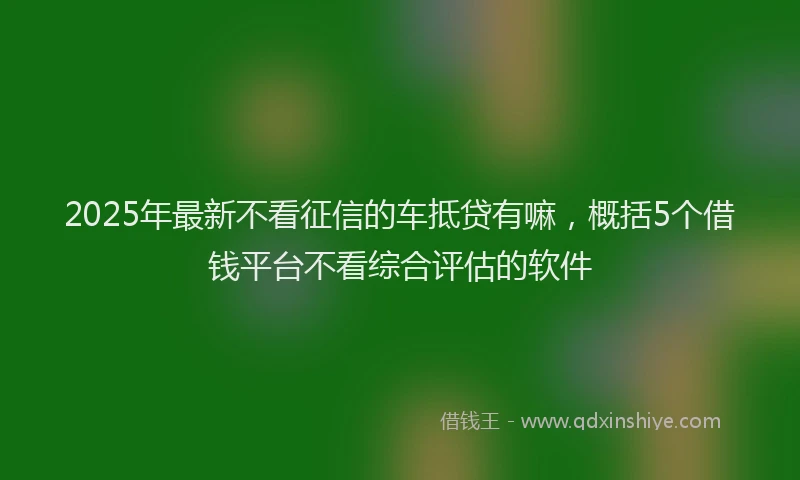 2025年最新不看征信的车抵贷有嘛，概括5个借钱平台不看综合评估的软件