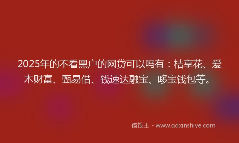 2025年的不看黑户的网贷可以吗有：桔享花、爱木财富、甄易借、钱速达融宝、哆宝钱包等。