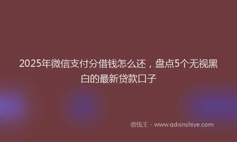 2025年微信支付分借钱怎么还，盘点5个无视黑白的最新贷款口子