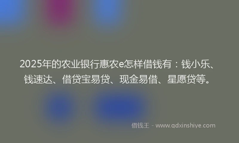 2025年的农业银行惠农e怎样借钱有：钱小乐、钱速达、借贷宝易贷、现金易借、星愿贷等。