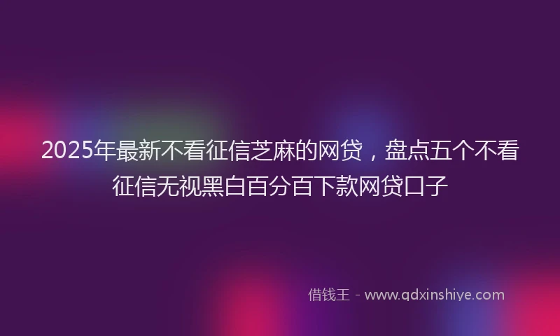 2025年最新不看征信芝麻的网贷，盘点五个不看征信无视黑白百分百下款网贷口子