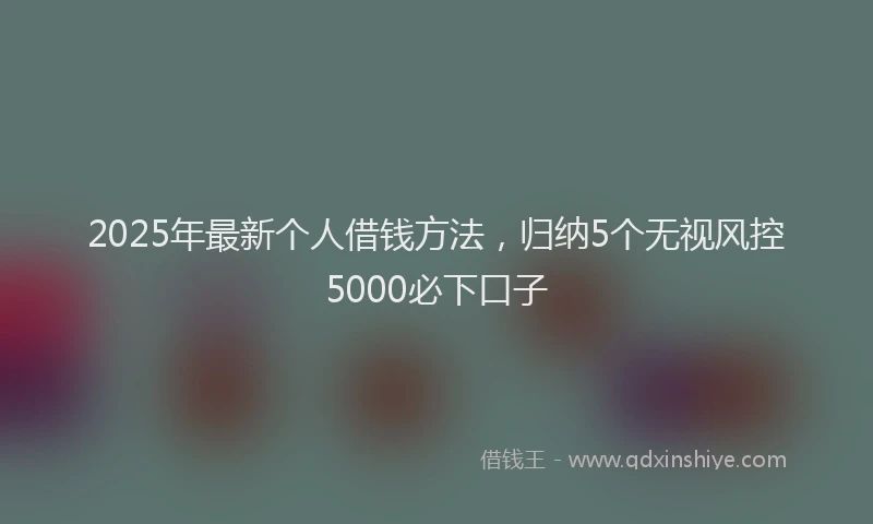 2025年最新个人借钱方法，归纳5个无视风控5000必下口子