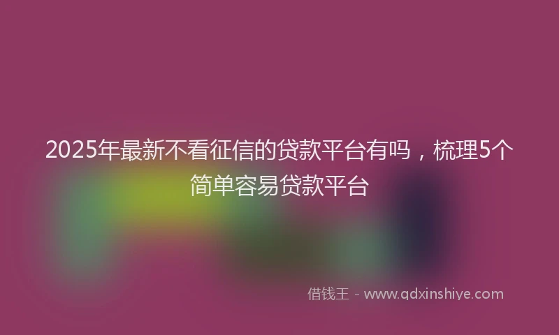 2025年最新不看征信的贷款平台有吗，梳理5个简单容易贷款平台