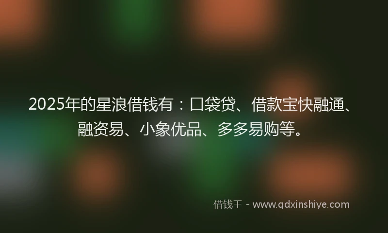 2025年的星浪借钱有：口袋贷、借款宝快融通、融资易、小象优品、多多易购等。