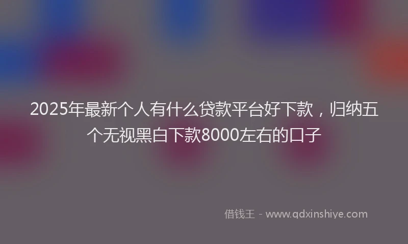 2025年最新个人有什么贷款平台好下款，归纳五个无视黑白下款8000左右的口子