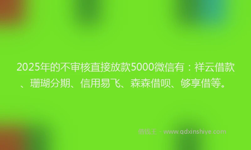 2025年的不审核直接放款5000微信有：祥云借款、珊瑚分期、信用易飞、森森借呗、够享借等。
