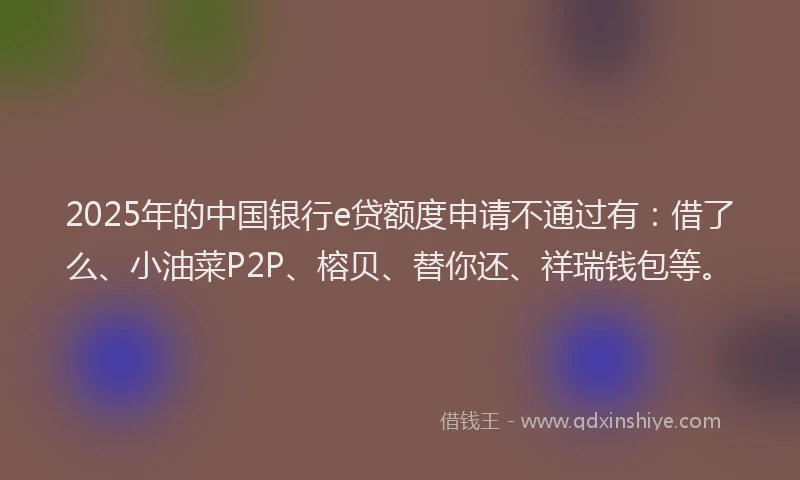 2025年的中国银行e贷额度申请不通过有：借了么、小油菜P2P、榕贝、替你还、祥瑞钱包等。